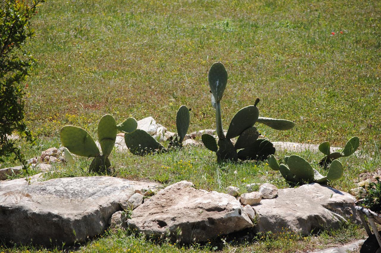 Masseria Gelsi ตอร์เรเคียนกา ภายนอก รูปภาพ