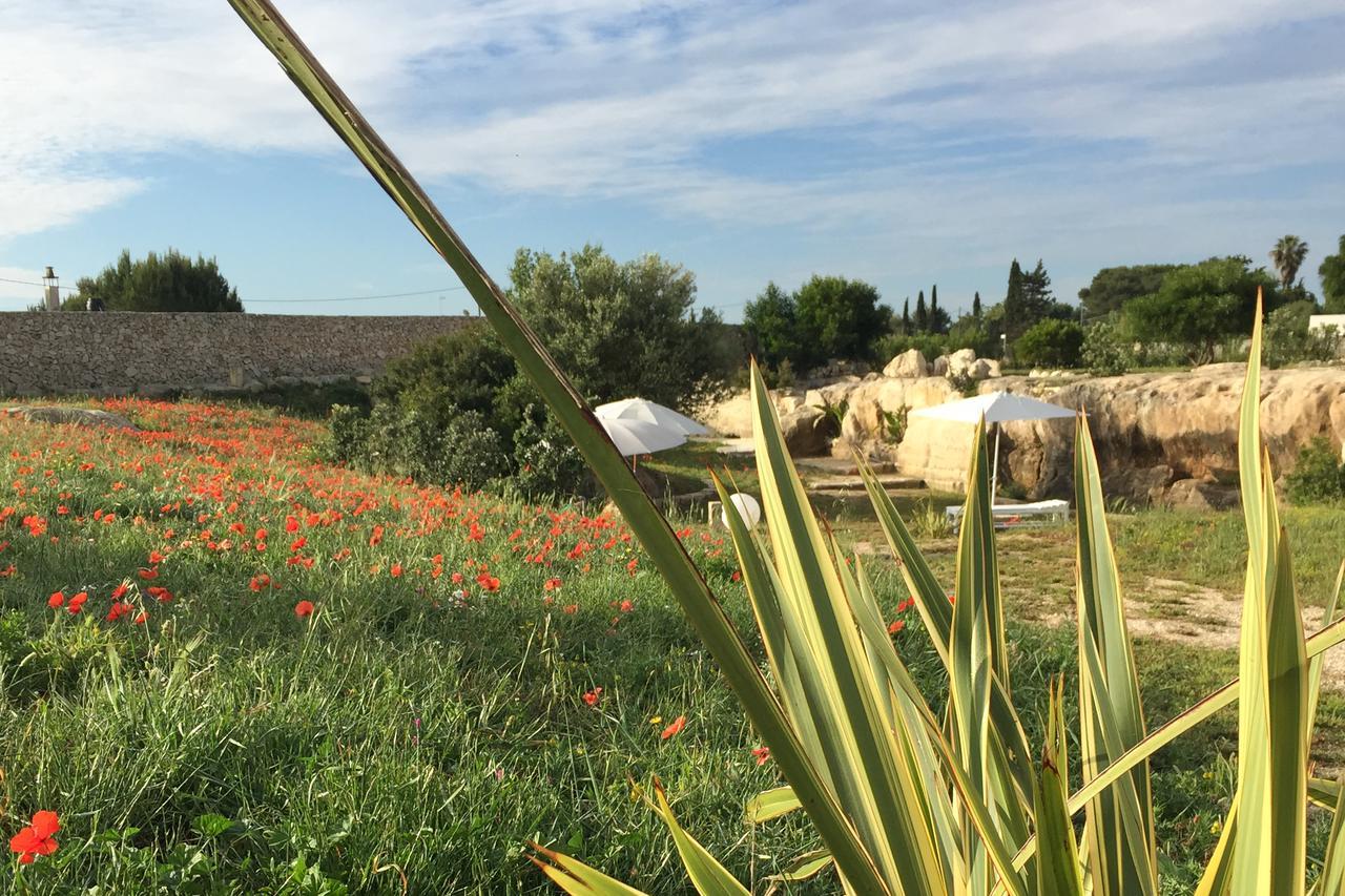 Masseria Gelsi ตอร์เรเคียนกา ภายนอก รูปภาพ