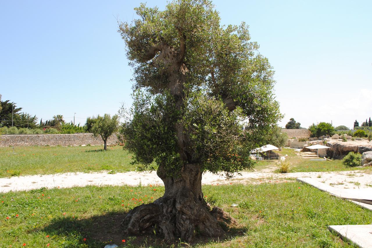 Masseria Gelsi ตอร์เรเคียนกา ภายนอก รูปภาพ