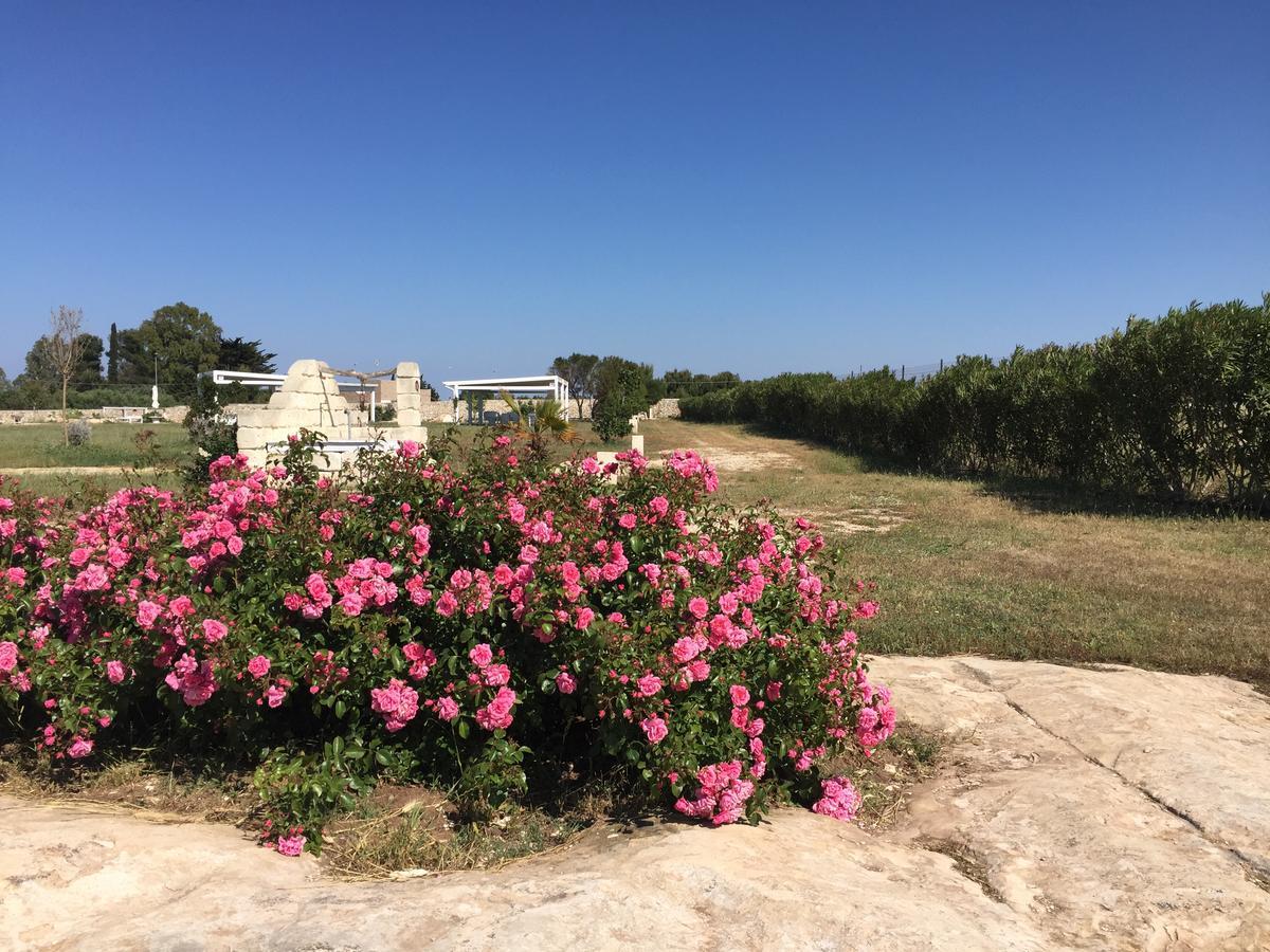 Masseria Gelsi ตอร์เรเคียนกา ภายนอก รูปภาพ