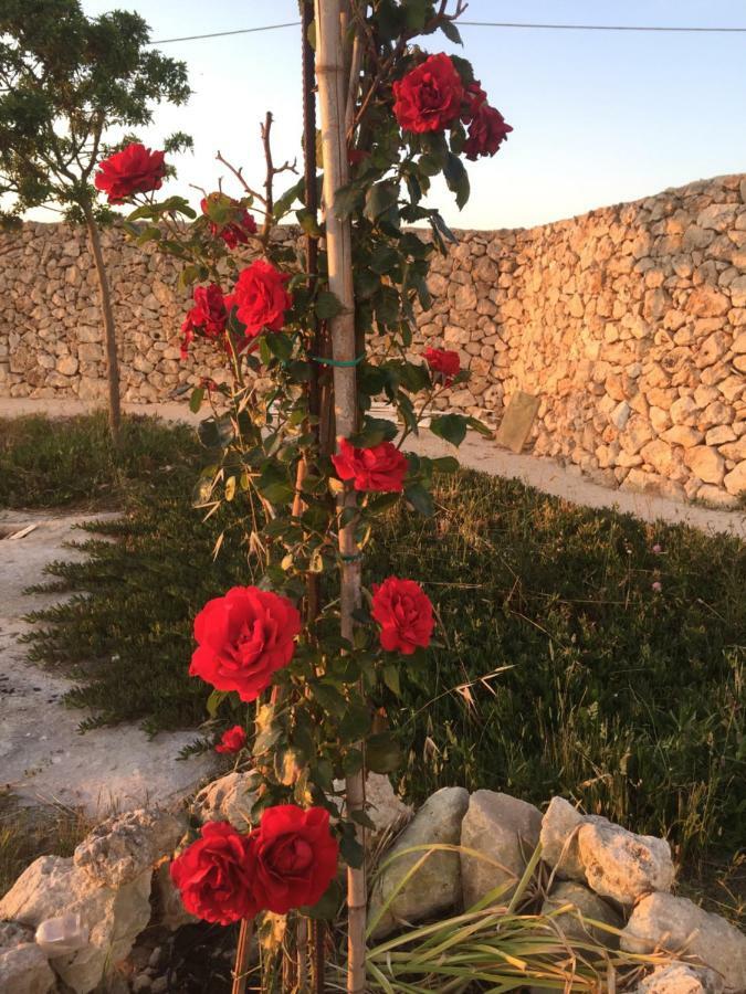 Masseria Gelsi ตอร์เรเคียนกา ภายนอก รูปภาพ